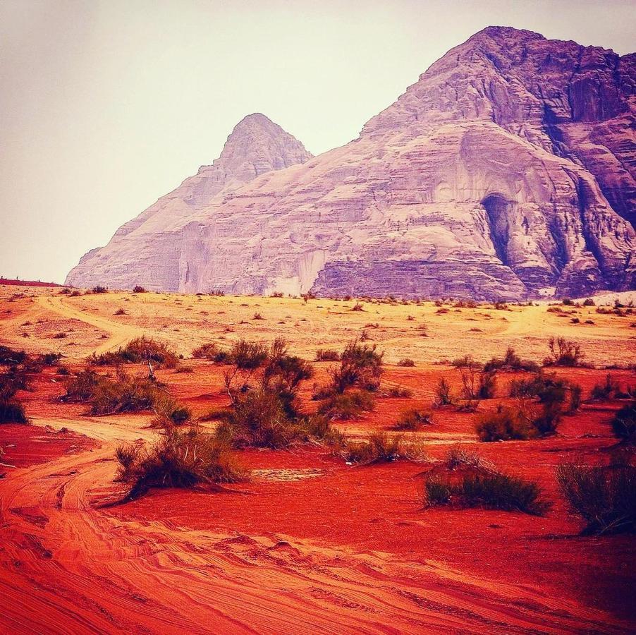Maraheb Luxury Camp Hotel Wadi Rum Ngoại thất bức ảnh